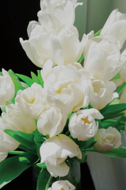 Bir buket güzel bahar çiçeği, siyah arka planda beyaz laleler. Kadın günü. Çiçekçi. Kadınlar Günü için laleler