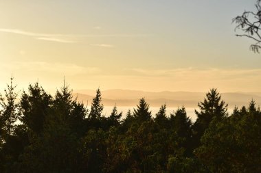 Joshua Tree National Park alacakaranlıkta
