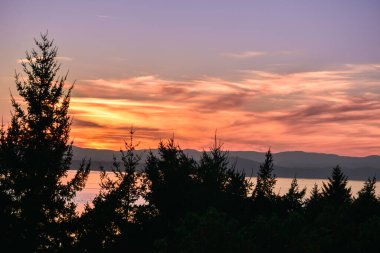 Joshua Tree National Park alacakaranlıkta