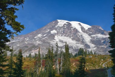 Joshua Tree National Park alacakaranlıkta