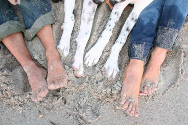 Kumsal deniz kabukları güneş üzerlerine batarken onlara güzel, sıcak bir bakış verir..