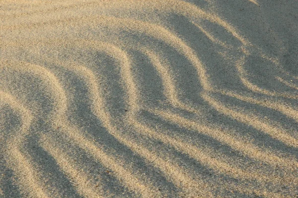 Beach Sea Shells Sun Setting Them Giving Them Nice Warm — Stock Photo, Image