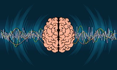 A digital illustration of different kinds of waveforms produced by brain activity. Human brain wave pattern. Brainwave frequencies signal Analysis, clipart