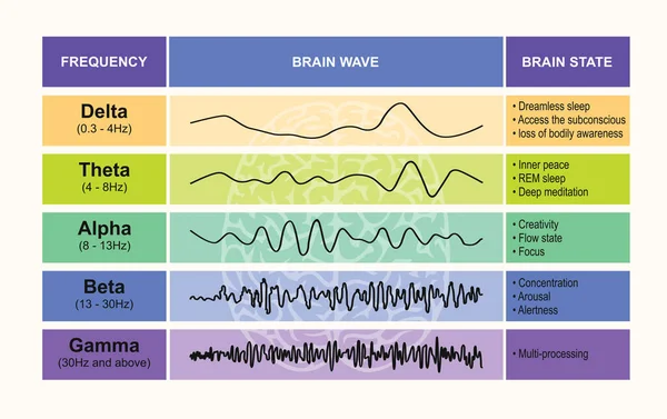Versterking Van Wenselijke Hersengolfpatronen Grafiek Menselijke Hersengolven Stock Vector Illustratie — Stockvector