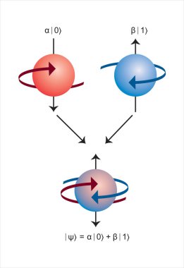 Kuantum bit konsepti tasviri, süperpozisyon ve dolanıklık durumları ile Qubit Infographic. vektör illüstrasyonu.