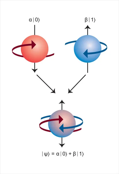 Kuantum bit konsepti tasviri, süperpozisyon ve dolanıklık durumları ile Qubit Infographic. vektör illüstrasyonu.