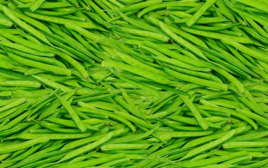 Hint sebzeli Guar veya Fasulye Kümesi Gavar, Guwar veya Guvar Fasulyesi olarak da bilinir.