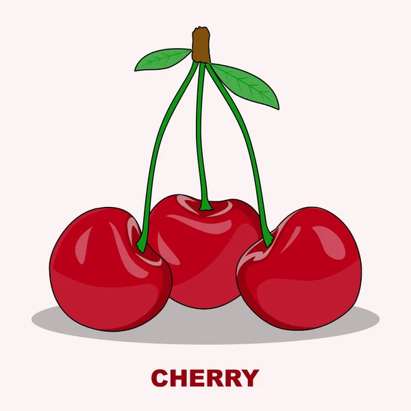 在柔和的红色背景上孤立的矢量樱桃画 夏天水果促进健康的生活方式 卡通风格的水果 任何设计的矢量说明 — 图库矢量图片