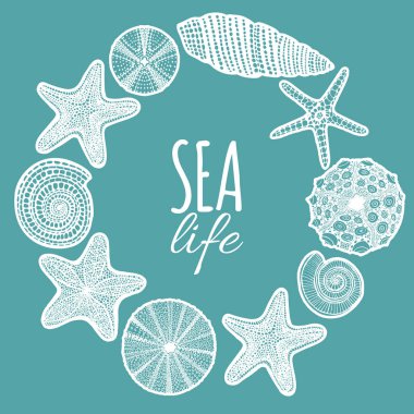 Deniz kabuğu Deniz yıldızı Urchin Kompozisyonu. Kabuklar ve Deniz Hayvanları Şablonu Kart Tasarım Yüzey Afişleri Davetiyeleri için Grafik Tarzı. Vektör İllüstrasyonu