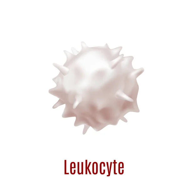 Leukocyte White Blood Cell Realistic Style Medical Center Laboratory Fliers — Stock Vector