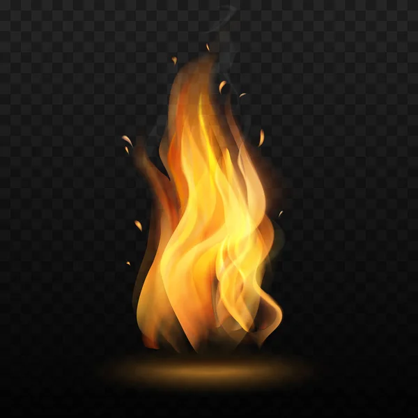 Ognisko Izolowany Ogień Przezroczystym Tle Realistycznym Stylu Plakaty Plakaty Plakaty — Wektor stockowy