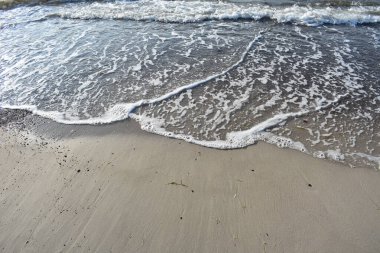 Ein sonniger Tag am Strand von Warnemuende/Rostock