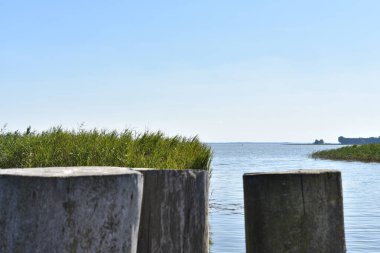 Doğanın güzel manzarası