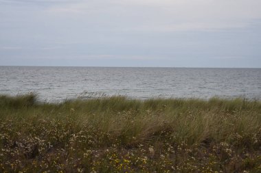 Arkasında bir göl olan güzel bir manzara.