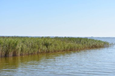 Bir yaz gününde göl