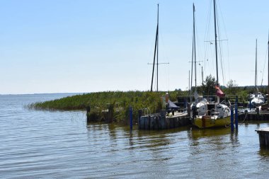 Kuzey denizindeki juist adası.