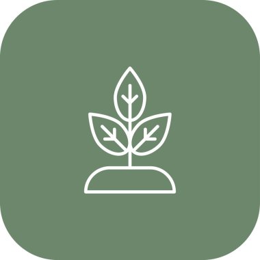 bitki simgesi vektör illüstrasyonu