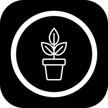 beautiful flower vector glyph icon