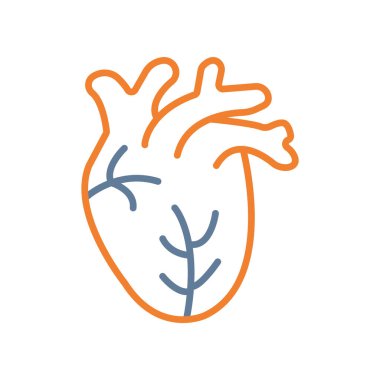kalp insan organı çizgisi biçim vektör çizimi tasarımı