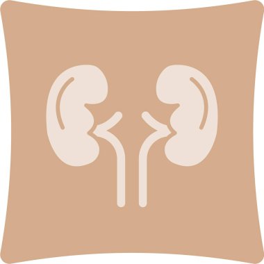 İnsan böbrekleri ve böbrek ikonu. Tıbbi konsept. Beyaz arkaplanda izole edilmiş vektör illüstrasyonu.