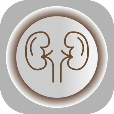 İnsan böbrek ikonu. Anatomi konsepti. İnsan anatomisi vektör çizimi