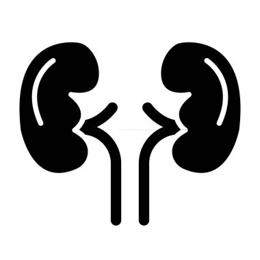 İnsan böbrekleri ikonu. Beyaz arkaplanda izole edilmiş web tasarımı için insan ney vektör simgesi ana hatları