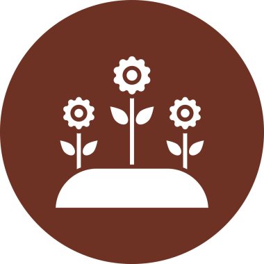 beautiful flower vector glyph icon