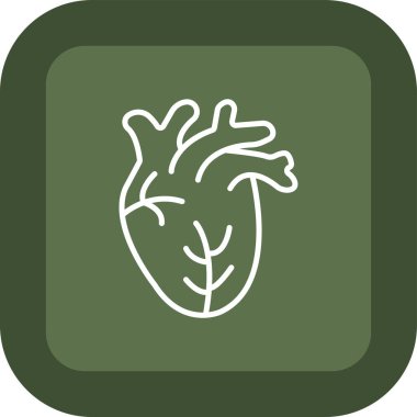 kalp organı, vektör illüstrasyonu, simge, resim