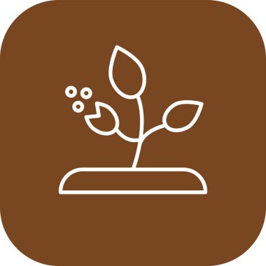 beautiful flower vector glyph icon