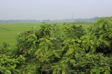 Doğanın güzel manzarası