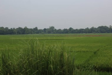 Kırsal manzarası çok güzel.