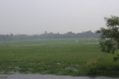 Parktaki manzara çok güzel.