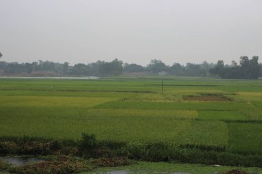 Kırsal kesimde güzel manzara