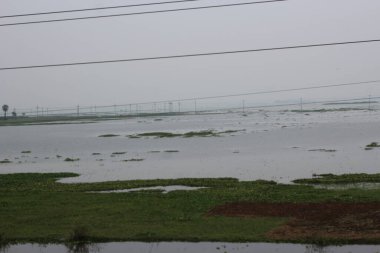 Arkasında bir göl olan güzel bir manzara.