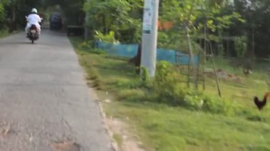 Parkta bisiklet süren insanların bulanık arkaplanı