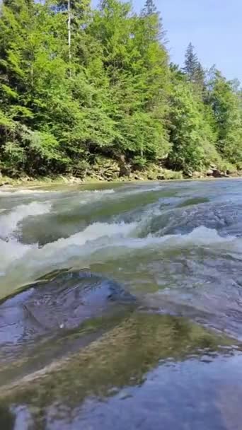Río Corriendo Corre Sobre Las Piedras — Vídeos de Stock