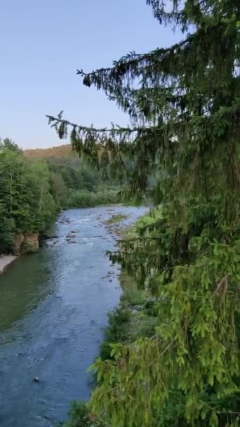 Fantastisk Utsikt Över Floden Och Bergen Vertikal Video — Stockvideo