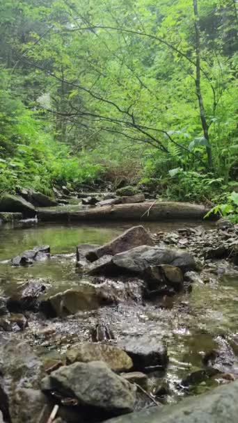 Río Que Fluye Sobre Terreno Rocoso — Vídeos de Stock