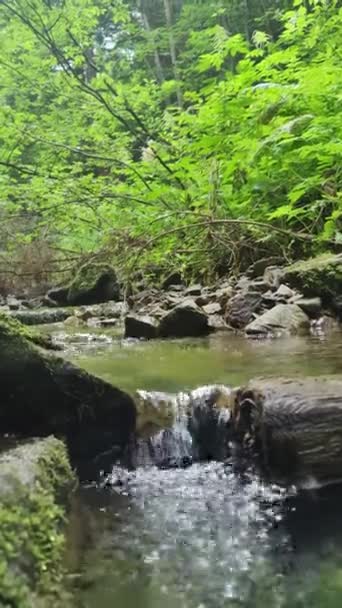一条流过岩石地形的溪流 — 图库视频影像