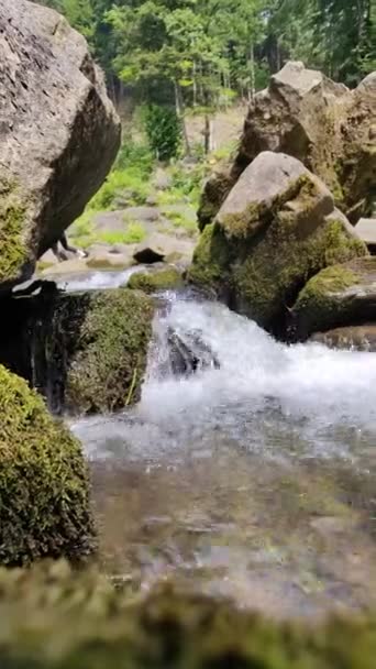 Vertikales Video Ein Fluss Fließt Durch Steine — Stockvideo