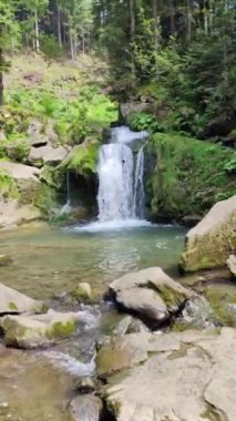 Küçük bir şelale ve taşların arasından akan bir nehir. Dikey video