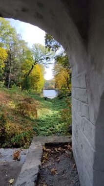 Ukrayna parkında altın sonbahar