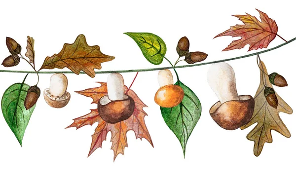 秋天的叶子 蘑菇和橡子在白色的背景上被隔离 水彩画手绘剪贴画 厨房用具装饰 森林食用菌 — 图库照片