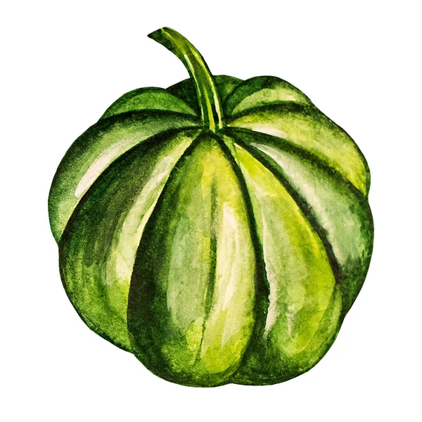 水彩画南瓜被白色背景隔离 手绘蔬菜插图 明信片 — 图库照片