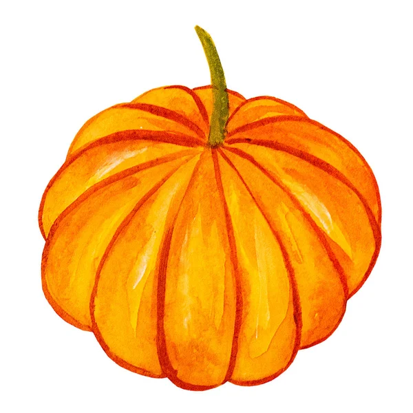 Pomarańczowa Dynia Odizolowanym Białym Tle Ilustracja Akwareli Rysunek Dłoni — Zdjęcie stockowe