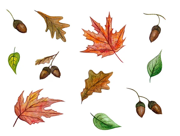 Padrão Aquarela Ornamento Estação Coleção Set Folhas Outono Textura Elegante — Fotografia de Stock