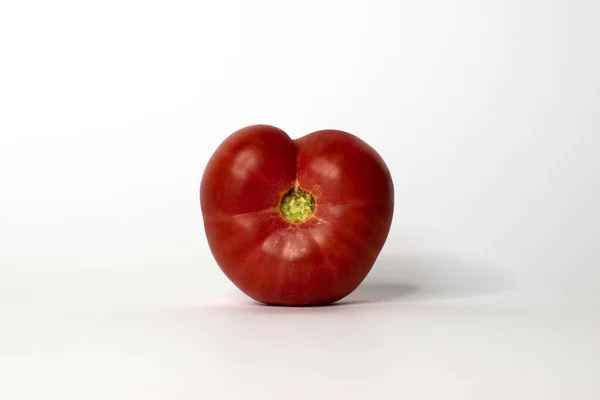 Isolado Tomate Tomate Sobre Fundo Branco — Fotografia de Stock
