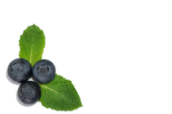 Fresh Ripe Blueberry White Background — Stock Photo, Image