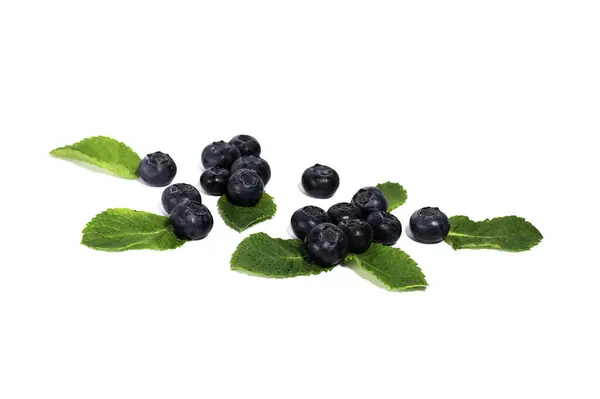 Fresh Blueberries Leaves White Background — Stock Photo, Image