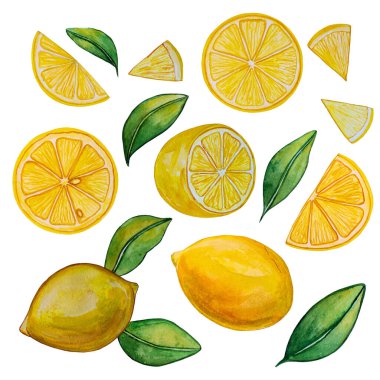 Suluboya sulu limon ve yapraklar, dizaynlar için Akdeniz çizimi. Meyve koleksiyonu, limon ve limon dilimleri, el yapımı illüstrasyon..
